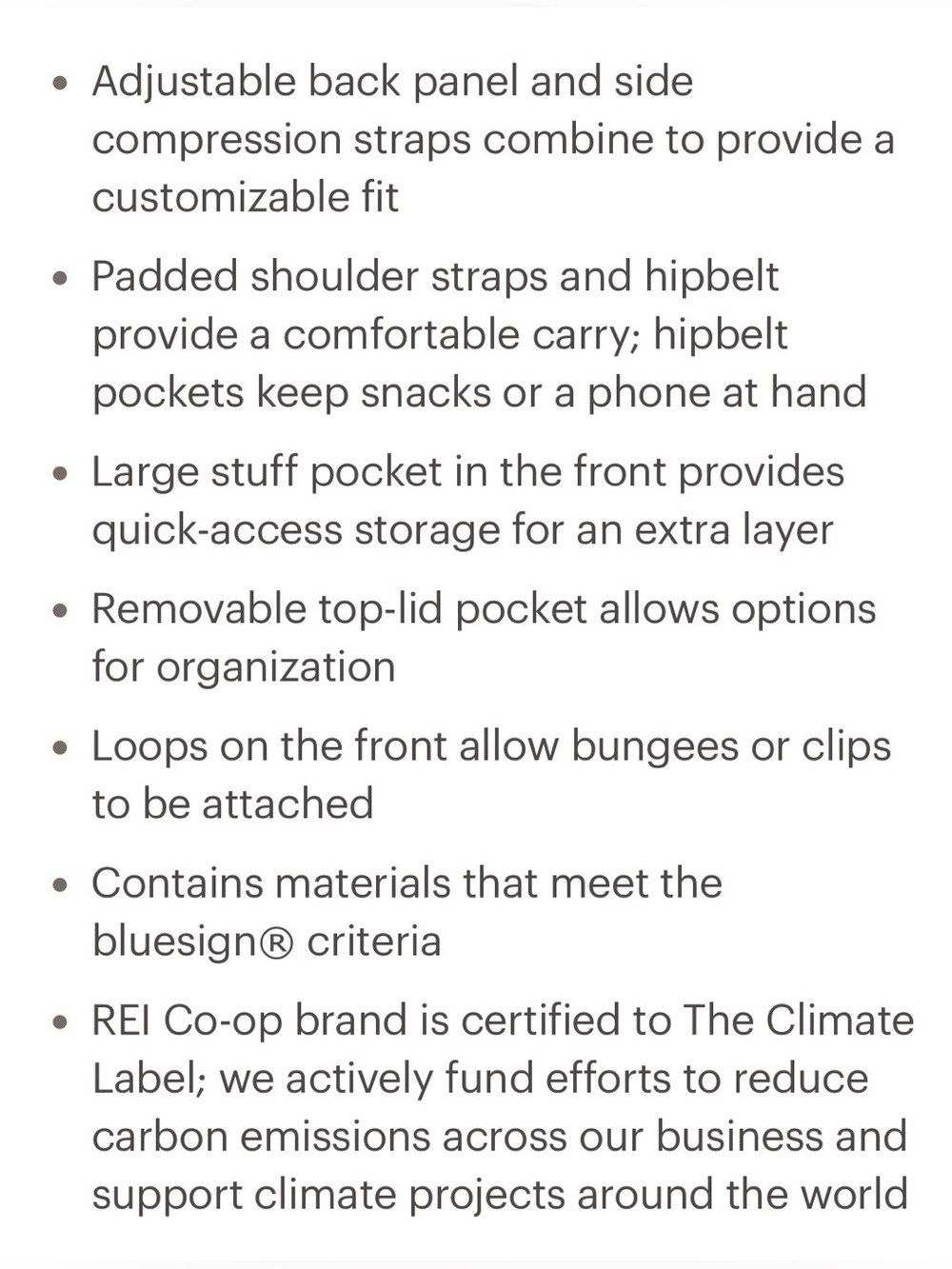 REI CO-OP Tarn 40 Kids Hiking Pack - Green - Picture 3 of 9
